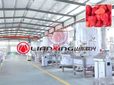 果蔬脆片加工機(jī)器-聯(lián)興